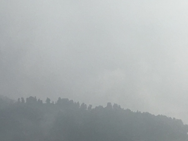 d0177251_08425132.jpeg