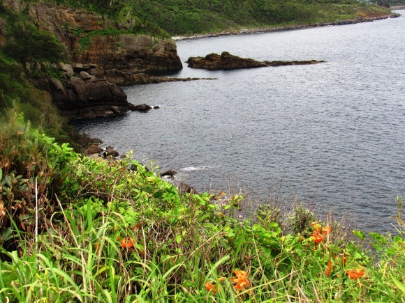 b0243152_15523285.jpg
