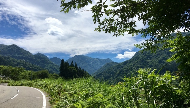 a0346455_00351670.jpeg