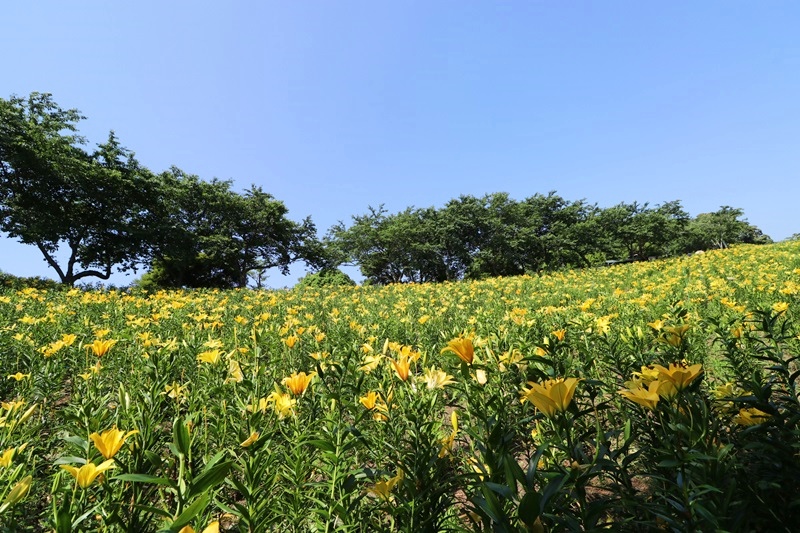 a0167759_0445281.jpg