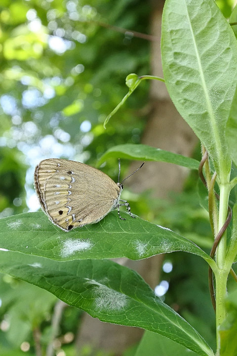 d0387460_20334629.jpg