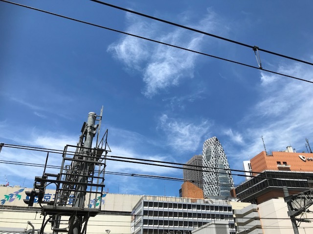 d0117565_19255997.jpg