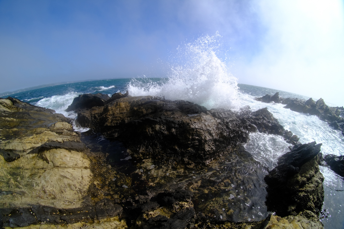 c0084666_00122221.jpg