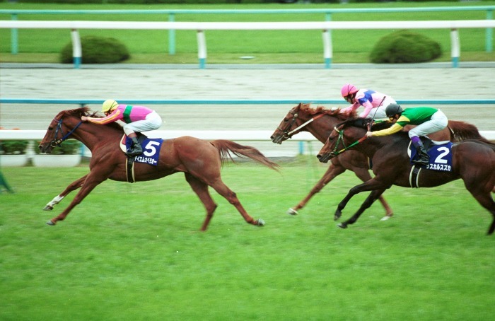 第20回JAPAN CUP：蔵出し写真 2000年⑧テイエムオペラオー｜馬画