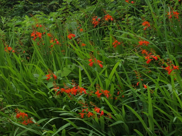 b0135573_22473731.jpg