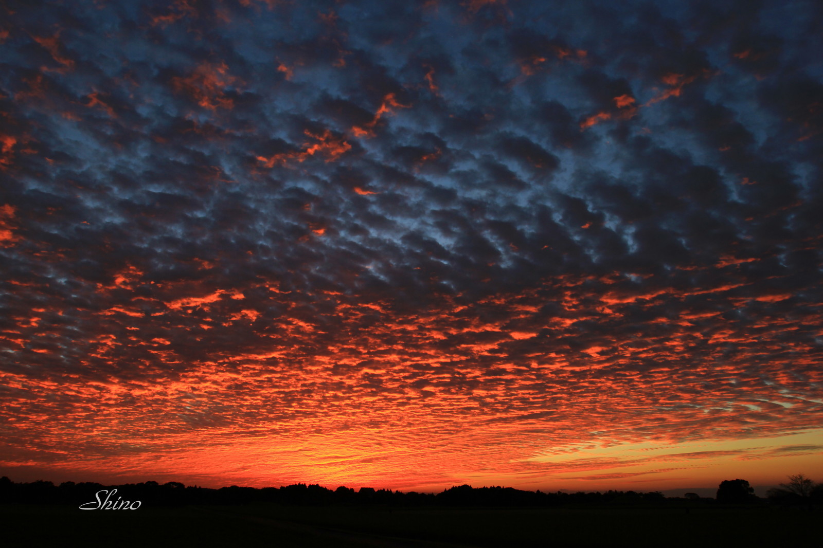 夕焼け空 きまぐれデジタルフォト 夕焼け空 きまぐれデジタルフォト
