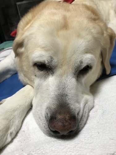 f0315081_23223185.jpeg