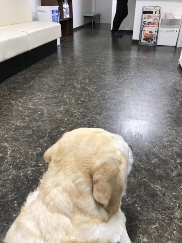 f0315081_23270573.jpeg