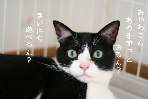 a0216583_22113721.png