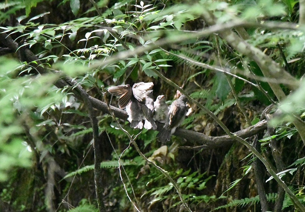 d0361783_22035207.jpg