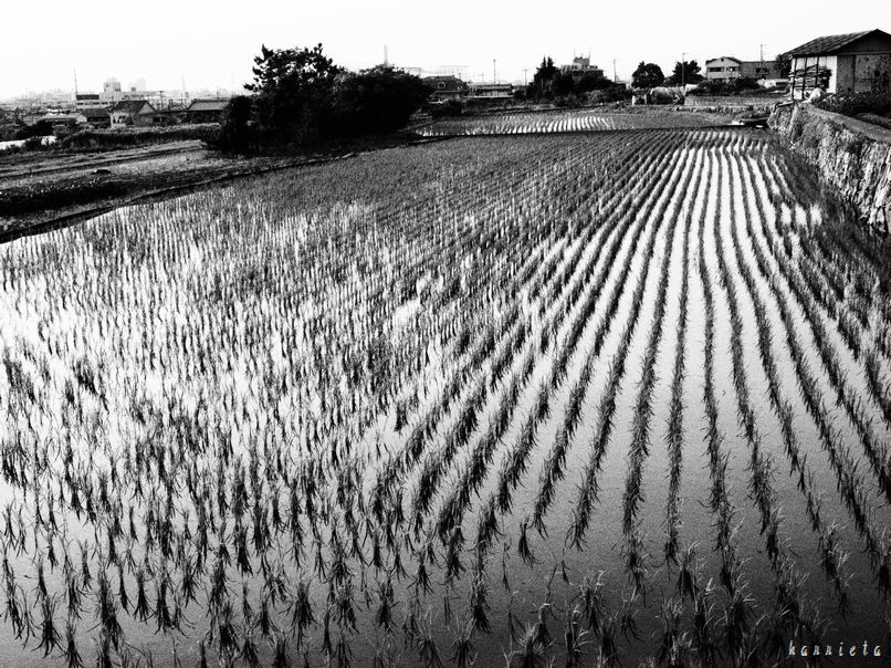 c0152690_14165049.jpg