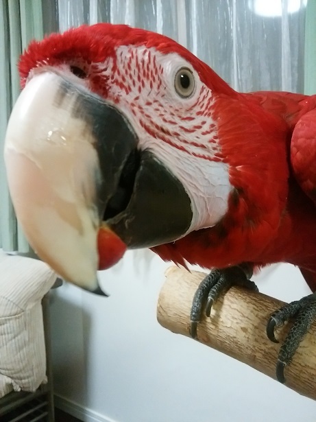 f0234590_11280380.jpg