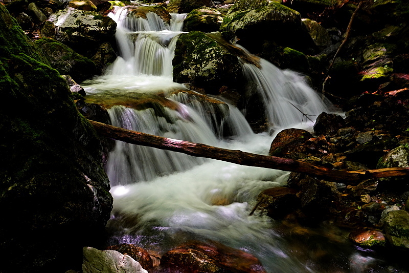 c0339900_09290261.jpg
