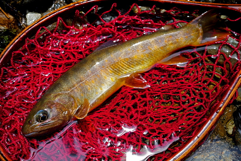 c0339900_09294901.jpg