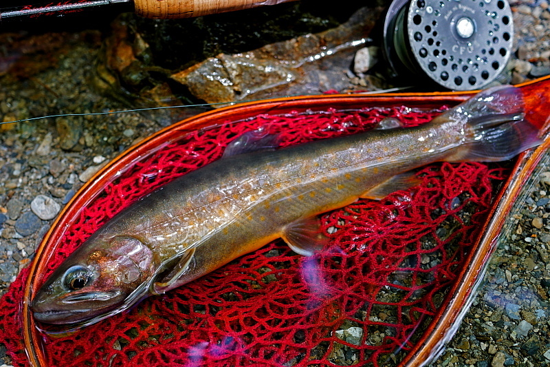 c0339900_09313864.jpg