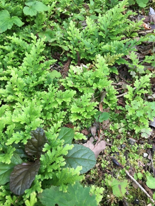 b0220002_21103808.jpeg