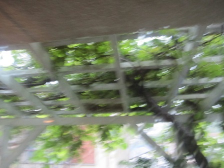c0152002_09302611.jpg
