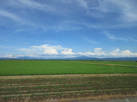 a0203003_21493052.jpg