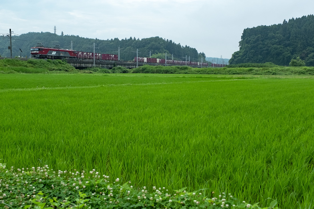 b0221605_18501864.jpg