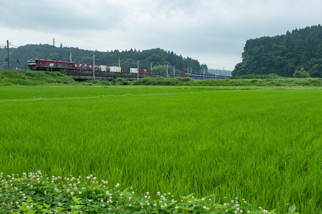 b0221605_18531190.jpg
