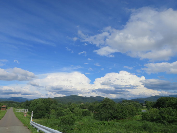 a0214206_00541341.jpg