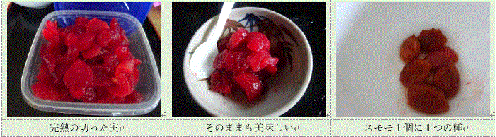 f0231709_23520856.gif