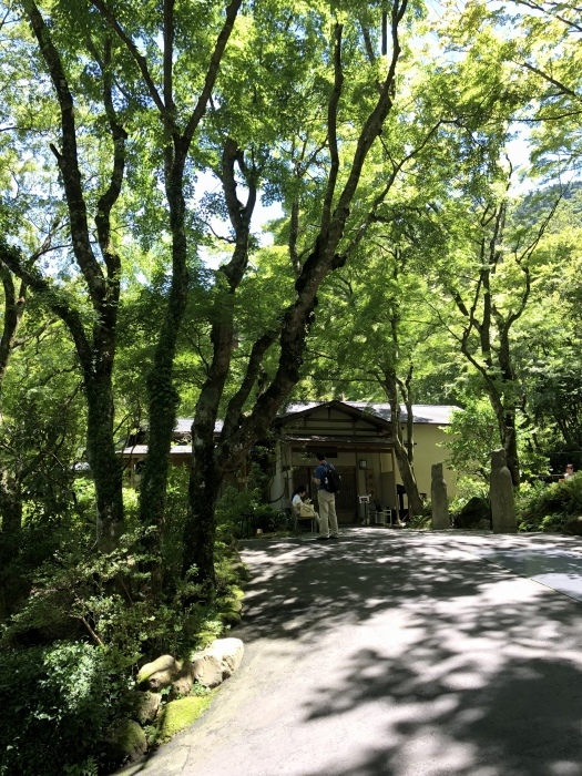 d0138811_21103528.jpeg