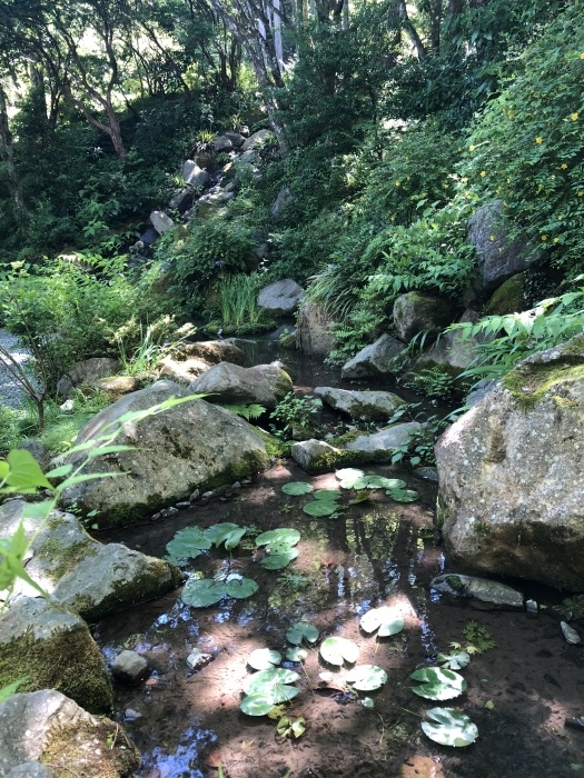 d0138811_21115160.jpeg