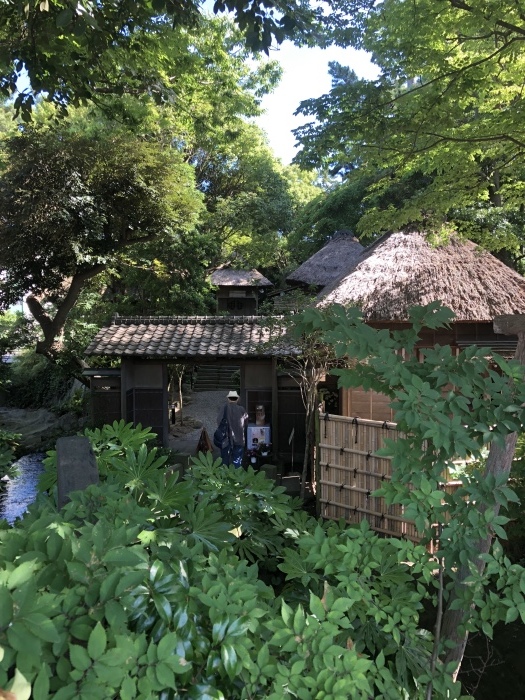 d0138811_21144040.jpeg
