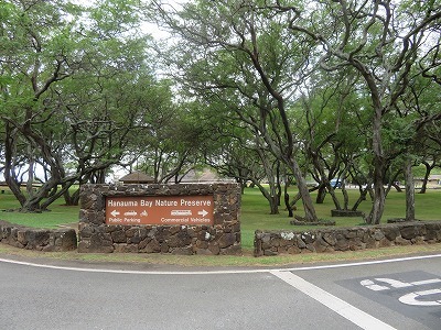 e0250712_20063690.jpg