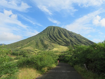 e0250712_20065053.jpg