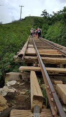 e0250712_20330038.jpg