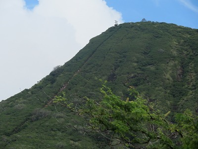 e0250712_20355410.jpg