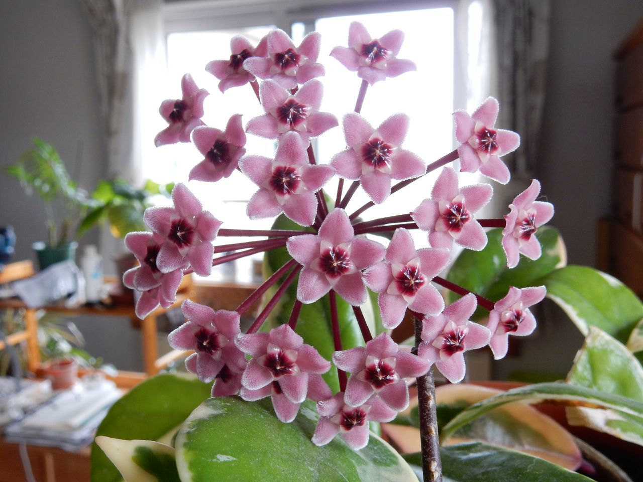 7月1日のtwitter_c0025115_21165023.jpg