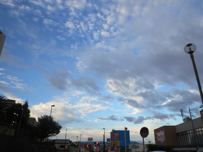 d0190217_22402444.jpg