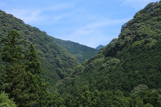 e0321325_11353399.jpg