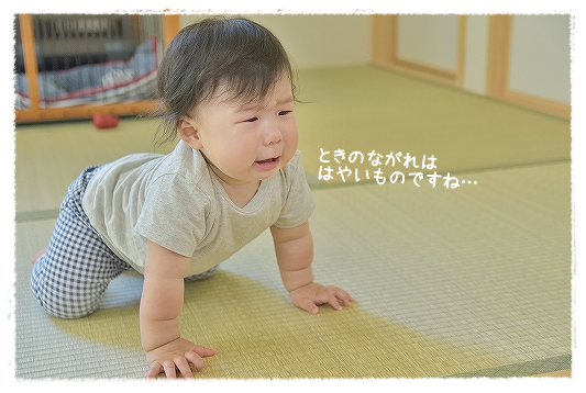 d0179828_10283906.png