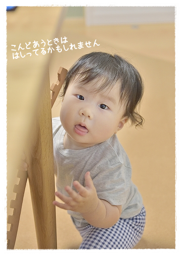 d0179828_10352868.png