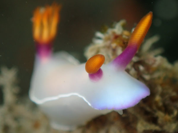 d0164831_16533222.jpg
