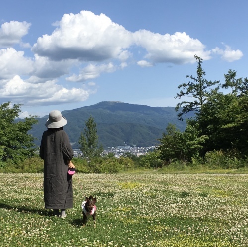 北杜市高根町清里から長野県諏訪市・松本市へ_a0291132_12134304.jpeg