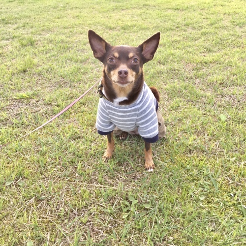 a0291132_14011751.jpeg