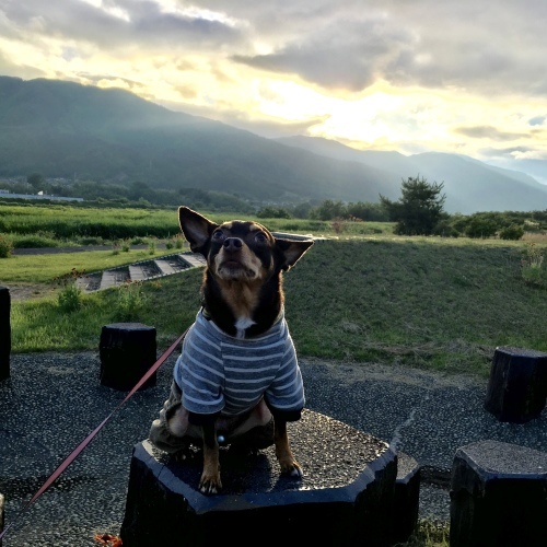 a0291132_14020655.jpeg