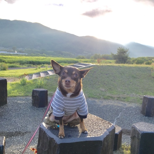 a0291132_14024517.jpeg