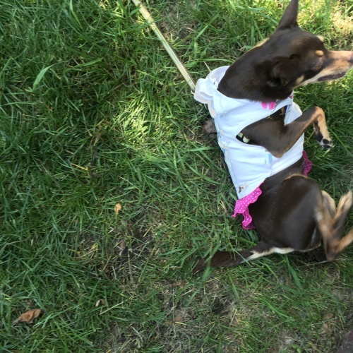 a0291132_14563813.jpeg