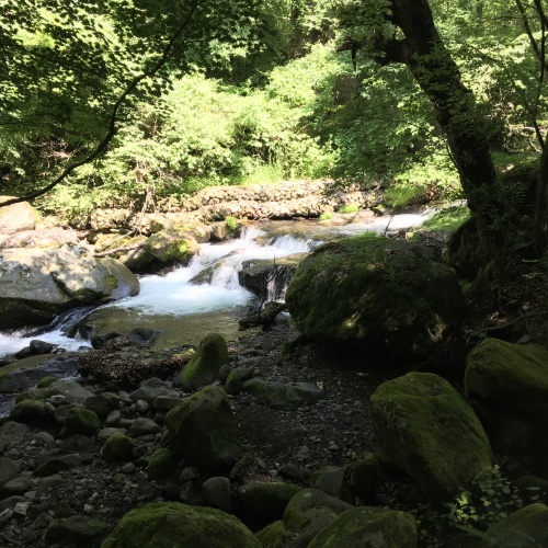 a0291132_15075895.jpeg