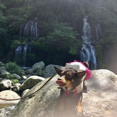 a0291132_15124023.jpeg