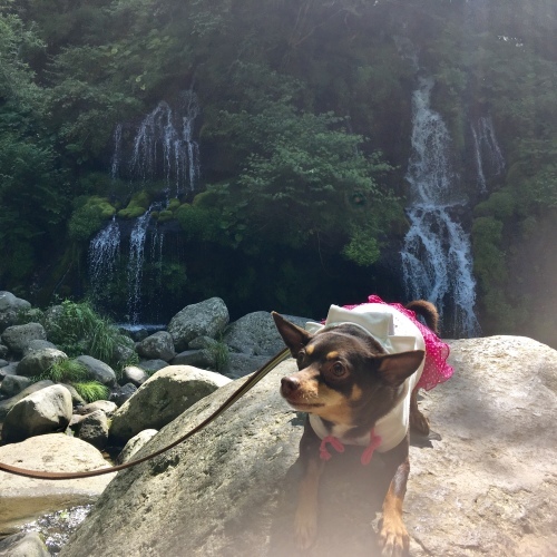 a0291132_15125478.jpeg