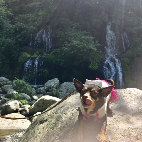 a0291132_15131424.jpeg
