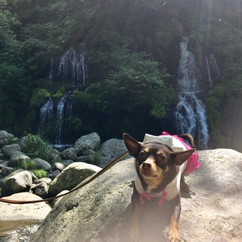 a0291132_15132766.jpeg