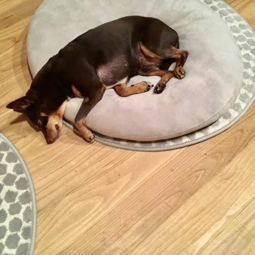 a0291132_15514335.jpeg
